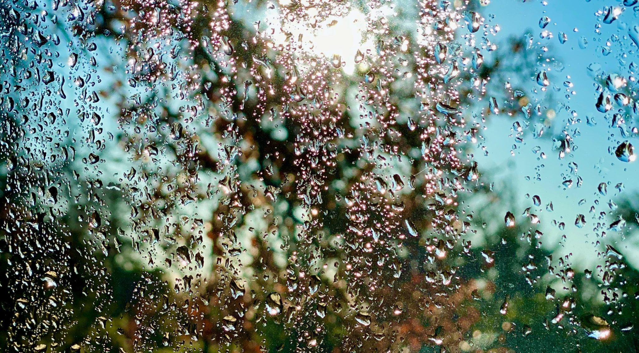 Is Your View Blurred on Rainy Days? Fix Your Foggy Windows